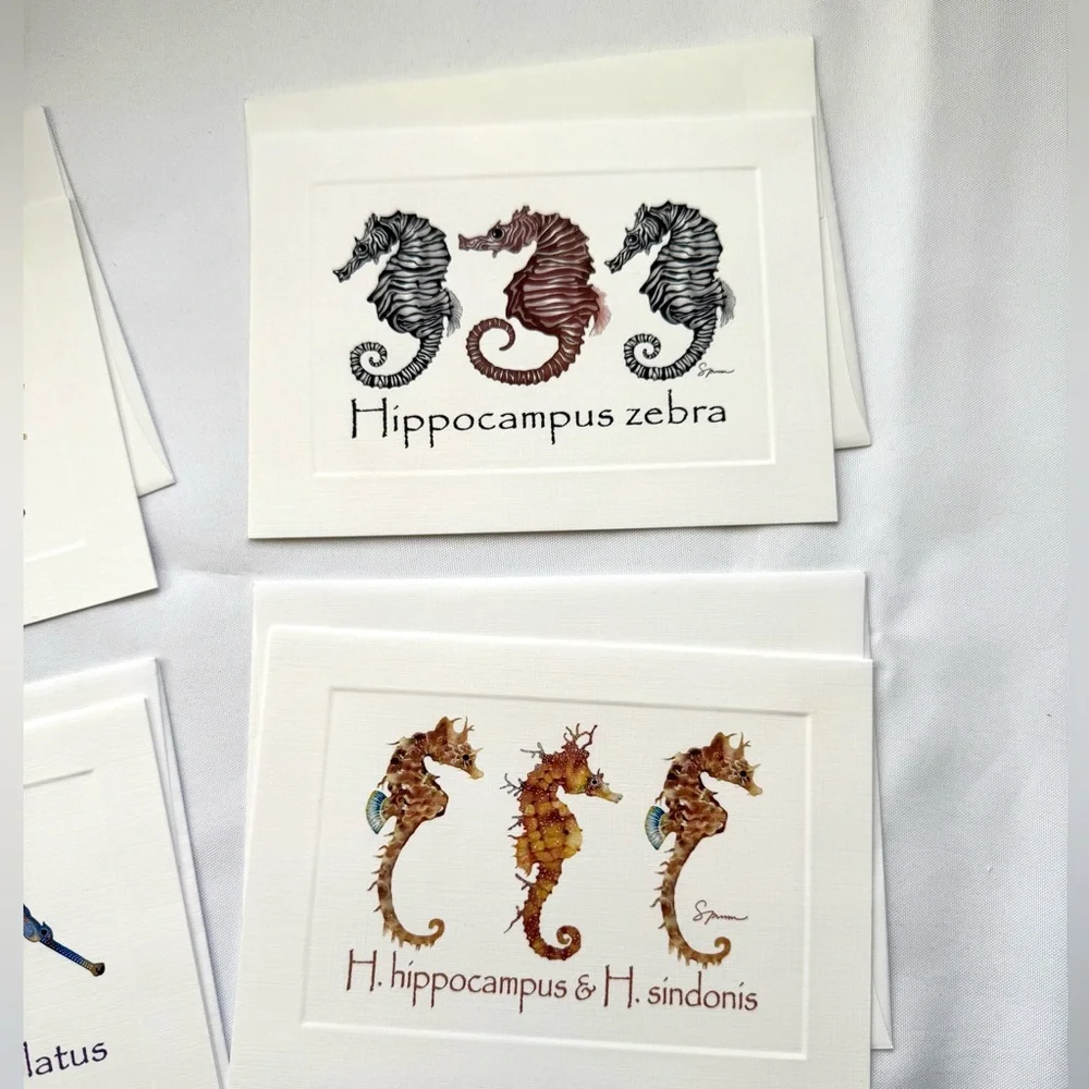 Seahorse conservation greeting cards set of four